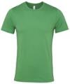 CA3001 CV3001 Retail T-Shirt Leaf colour image